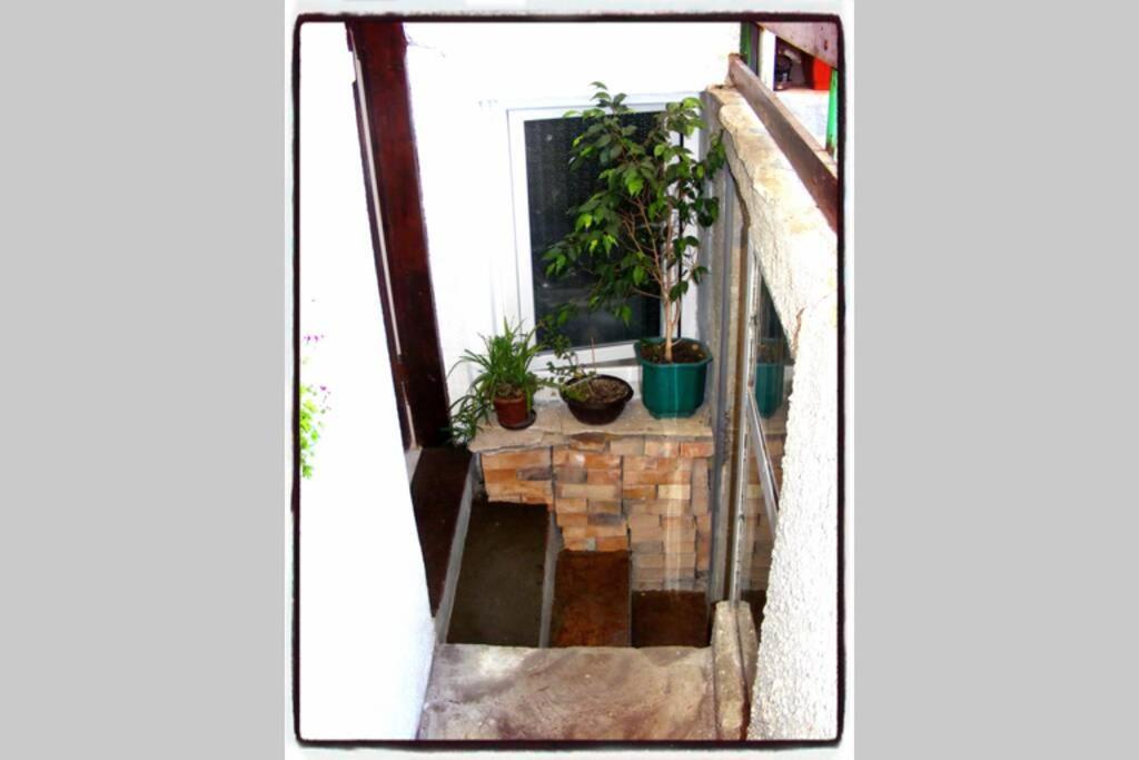 Authentic Guest Stay In The Heart Of Veliko Tarnovo Студио С Изглед Към Царевец Ngoại thất bức ảnh